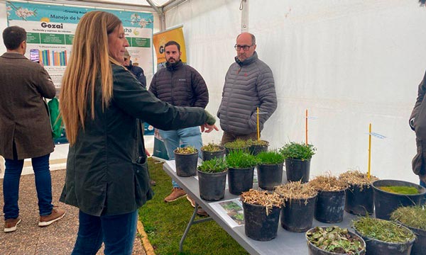Certis Belchim celebra la jornada 'Hacia el almendro del futuro'