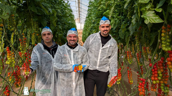 Daniel Peinado, Daniel Dejanovic y Manuel Yedra, comerciales de Naturinda, en un líneo de Tyamo / agroautentico.com