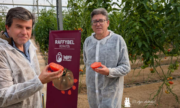 El amigo Rafael Losilla, director de F&H, con Manuel Martínez y Raffybel / agroauentico.com