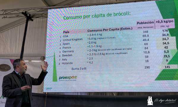 Fernando Gómez, director general de Proexport, en las jornadas de Sakata sobre brócoli / agroautentico.com
