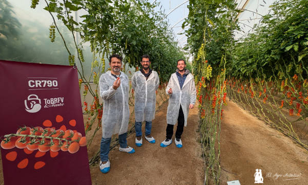 Francisco Casas, Fran Maleno y Manuel López, técnicos de SAT Inver / agroautentico.com