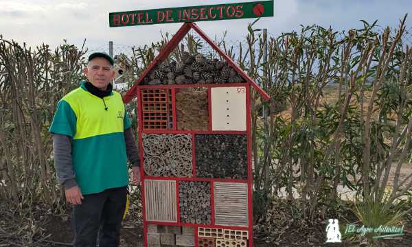 Hotel de insectos / agroautentico.com