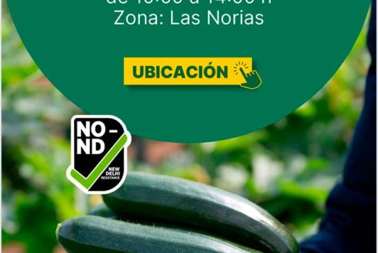 Día 21 de enero. Jornada de calabacín Arkana de HM.Clause