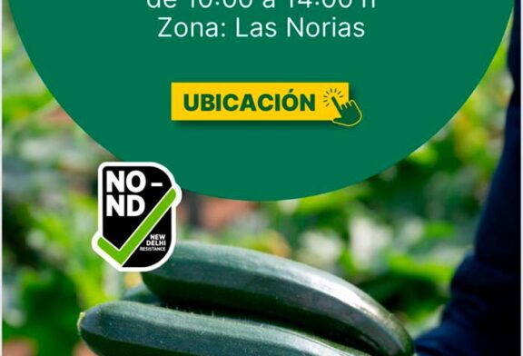 Día 21 de enero. Jornada de calabacín Arkana de HM.Clause