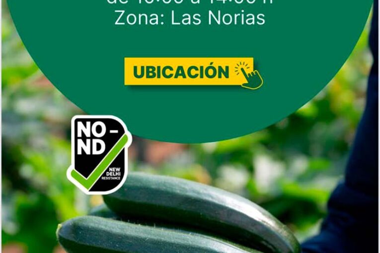 Día 21 de enero. Jornada de calabacín Arkana de HM.Clause