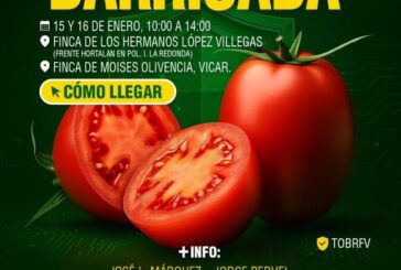 Día 15 y 16 de enero. Jornada de tomate pera de Ramiro Arnedo