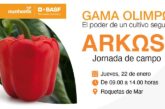 Día 22 de enero. Jornada de pimiento Arkos de Nunhems