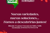 Días 14 y 15. Jornada de tomate de Gautier