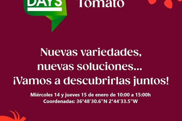 Días 14 y 15. Jornada de tomate de Gautier