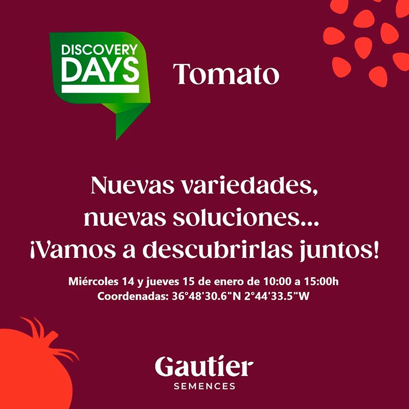 Días 14 y 15. Jornada de tomate de Gautier