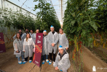 Gautier despliega en Almería su catálogo de tomate resistente a rugoso