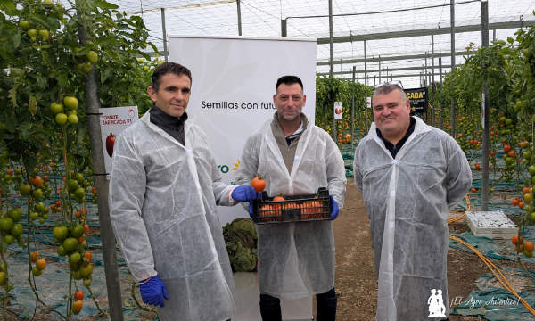 Jornadas de tomate pera gordo en El Ejido / agroautentico.com