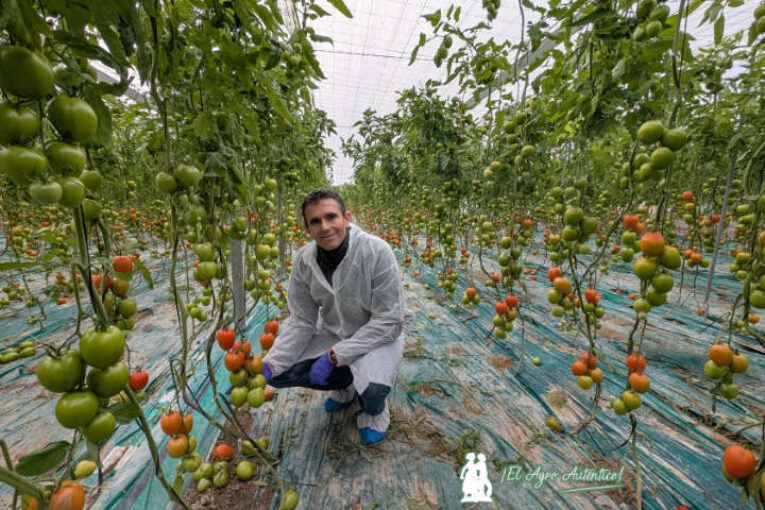 Barricada es el lanzamiento más importante de Ramiro Arnedo en tomate resistente a rugoso