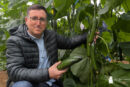 Nilsa de Syngenta es un pepino para atravesar el invierno alargando ciclo