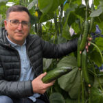 José Mª García Pareja con el pepino Nilsa de Syngenta / agroautentico.com