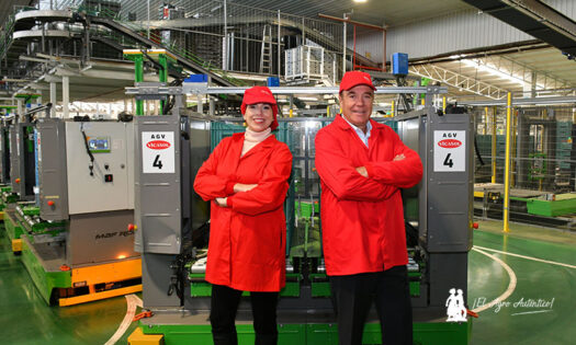 La línea de pepino en Vicasol se mecaniza, automatiza y robotiza 11