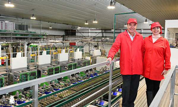 La línea de pepino en Vicasol se mecaniza, automatiza y robotiza 9