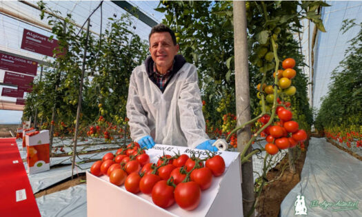 Manuel Hernández con las ramas de Rijk Zwaan / agroautentico.com