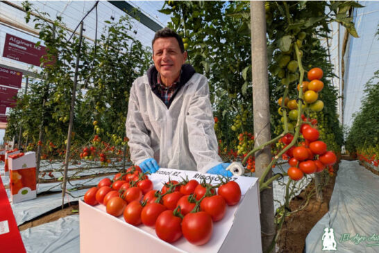 Rijk Zwaan traslada a sus portainjertos la alta resistencia (HR) a rugoso