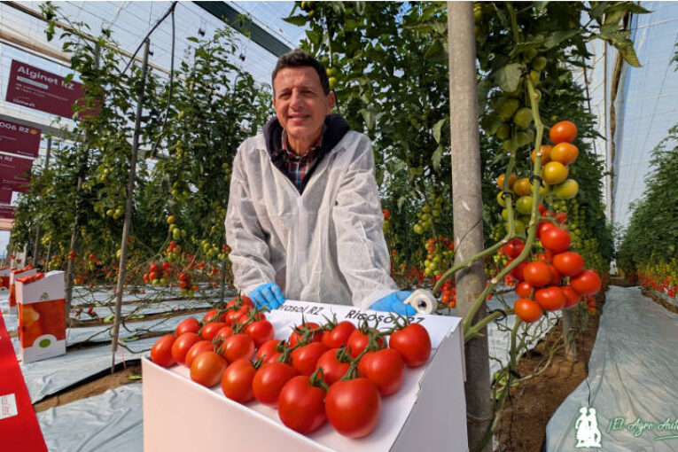 Rijk Zwaan traslada a sus portainjertos la alta resistencia (HR) a rugoso