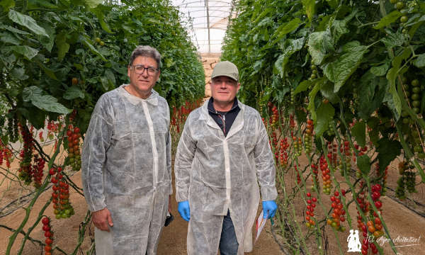 Manuel Martínez con Fran Rubiño, agricultor de cooperativa La Palma al que visitábamos en diciembre en su finca de Puntalón / agroautentico.com