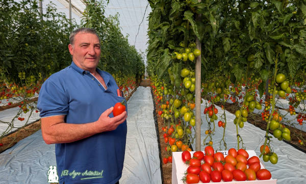 Miguel González, propietario de la finca vitrina de RZ en el área del campo de Níjar / agroautentico.com