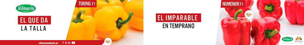 TOP BANNER VILMORIN ENERO