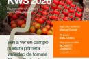 Día 29 de enero. Jornada de tomate cherry de KWS Semillas Ibérica