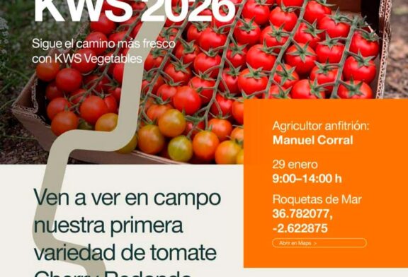 Día 29 de enero. Jornada de tomate cherry de KWS Semillas Ibérica