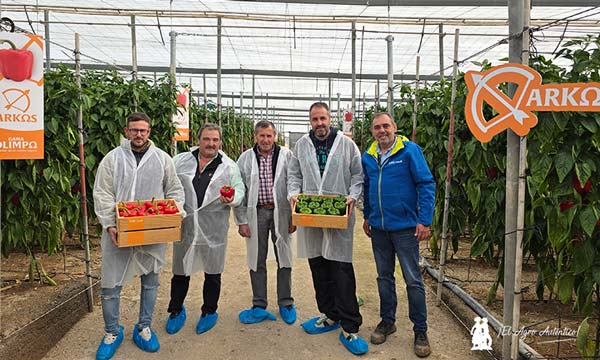 Jornadas de Arkos y Salonikas ayer en El Ejido (Almería) / agroautentico.com