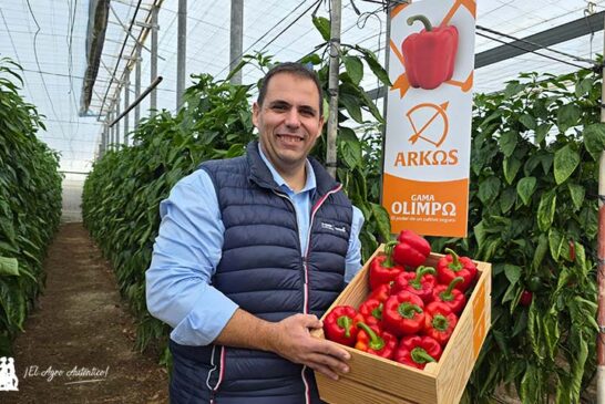 Pimiento Arkos en rojo y Salonikas en amarillo para responder al nuevo escenario del pimiento