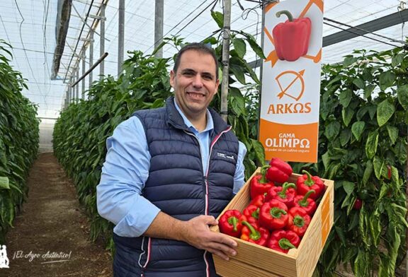 Pimiento Arkos en rojo y Salonikas en amarillo para responder al nuevo escenario del pimiento