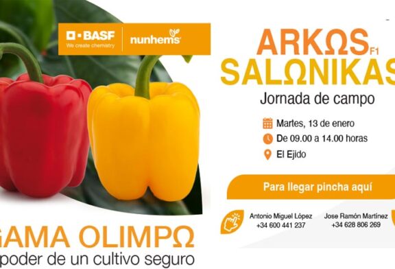 Día 13 de enero. Jornada de pimiento de BASF | Nunhems