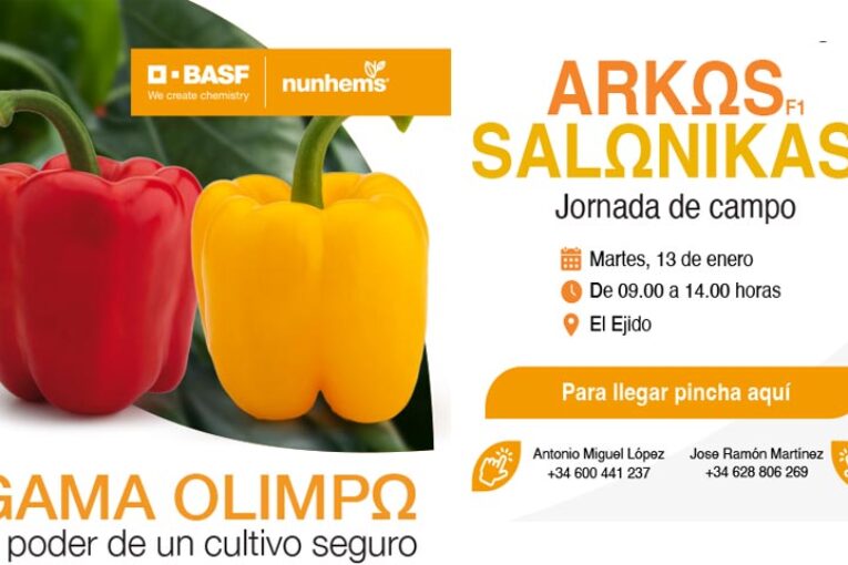 Día 13 de enero. Jornada de pimientos Arkos y Salonikas de BASF | Nunhems