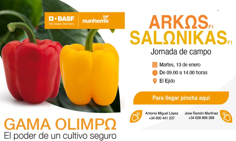 Día 13 de enero. Jornada de pimiento de BASF | Nunhems
