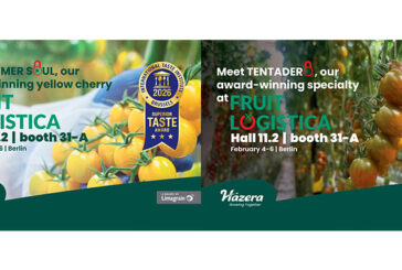Hazera luce en Fruit Logistica 2026 variedades premiadas por su sabor