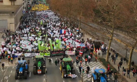 Copa Cogeca ha aglutinado en sus movilizaciones a organizaciones agrarias de diferentes países de la UE. Lo cuenta Twitter / agroautentico.com