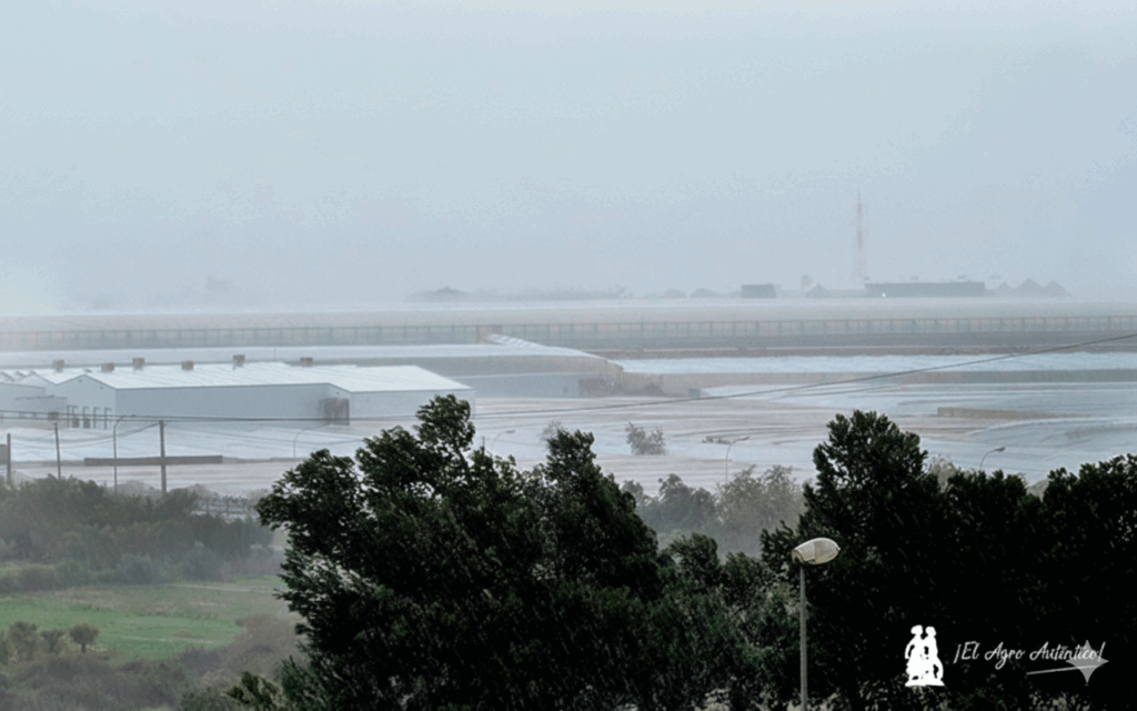 Recomendaciones ante el temporal que azota Almería