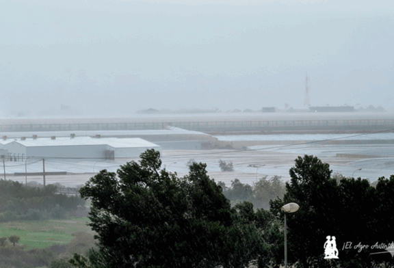 Recomendaciones ante el temporal que azota Almería