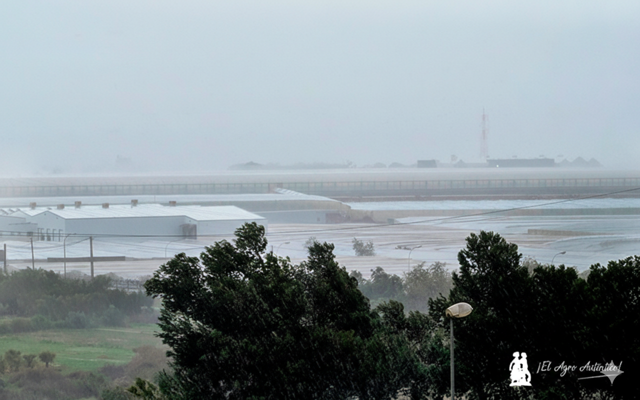 Recomendaciones ante el temporal que azota Almería