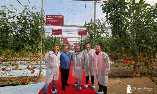 Rijk Zwaan portainjertos y variedades resistentes a rugoso en la finca vitrina de tomate / agroautentico.com