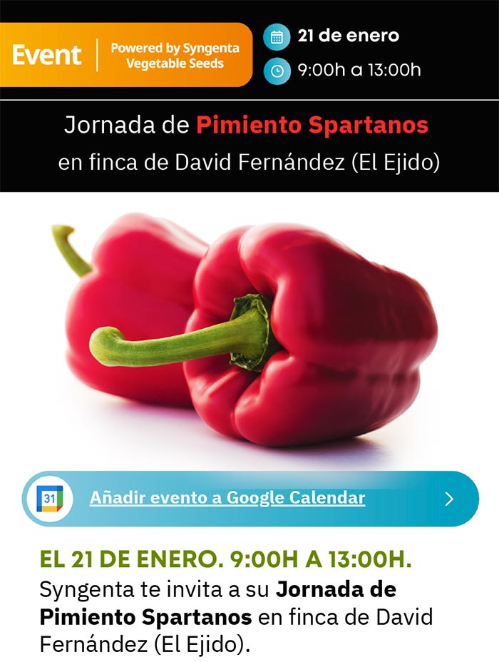 Día 21 de enero. Jornada de pimiento de Syngenta