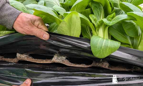 Sistema NGS. Hidropónico sin sustrato / agroautentico.com