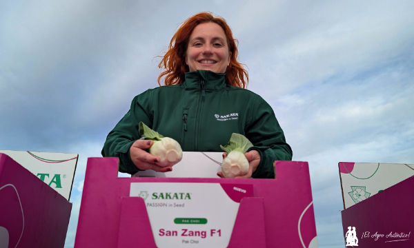 Sonia Marín con San Zang, nuevo pak choi de Sakata / agroautentico.com