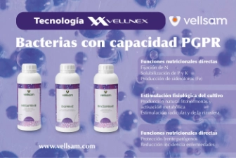 POST 1 VELLSAM 2026