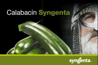 SIDE BAR 2 SYNGENTA CALABACIN