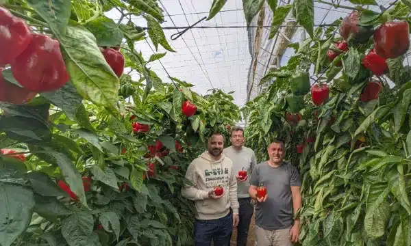 Álex Martín y Germán Ureña con Luis Oliveros, agricultor almeriense / agroautentico.com