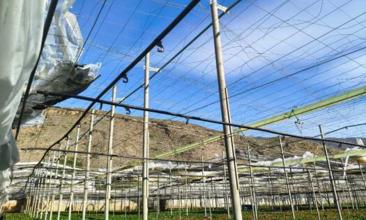 Almería tras el paso de la borrasca Oriana / agroautentico.com