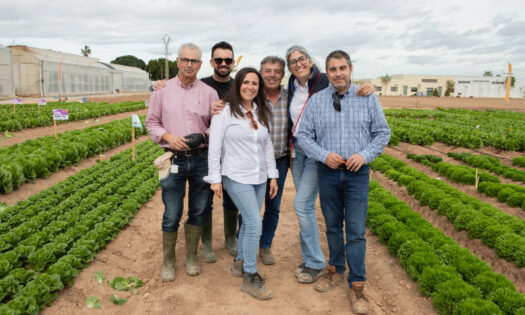 BASF | Nunhems mini demos de hoja en el campo de Cartagena / agroautentico.com