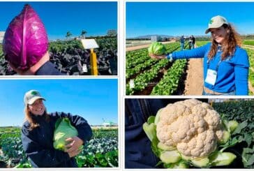 Bejo presume de diversidad en Murcia Open Days 2026